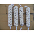 /msite/products/detail/productid/56994869/id/573198.html
